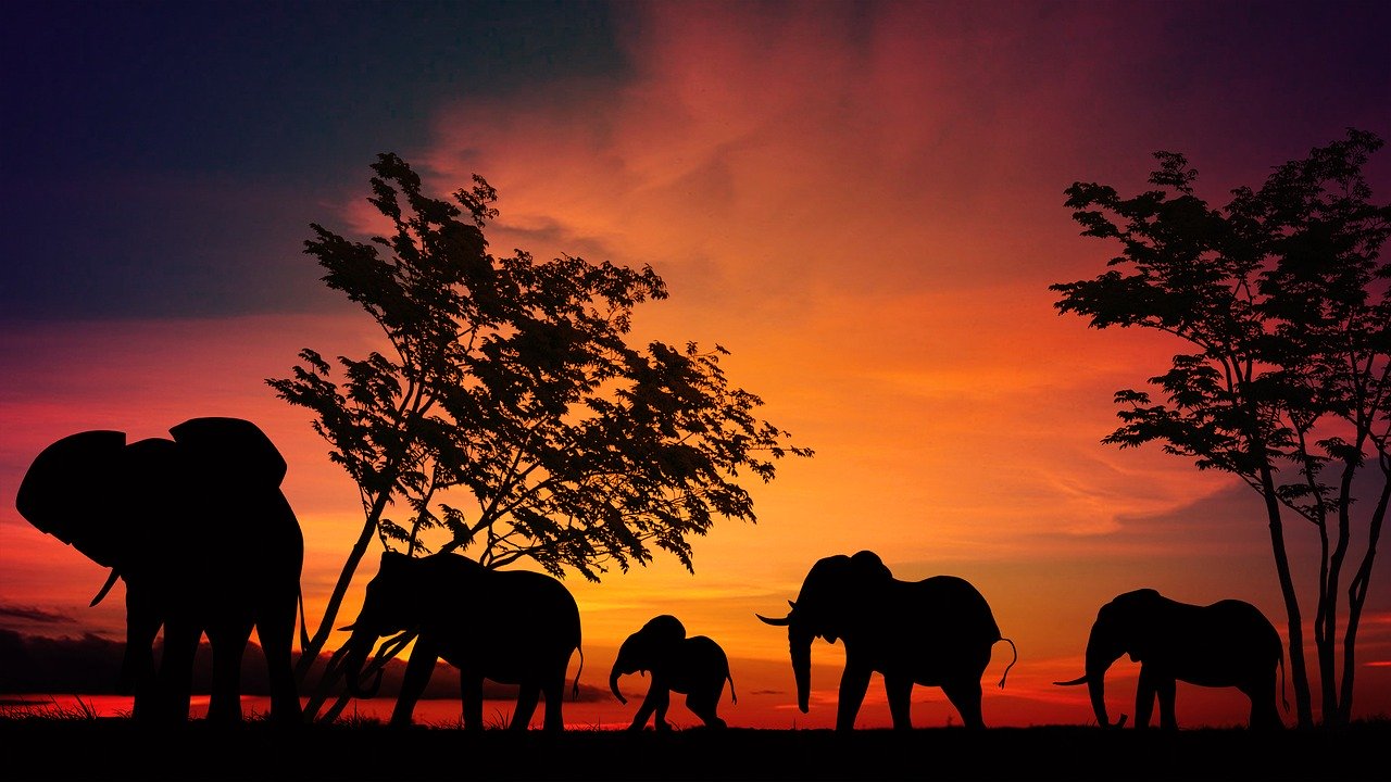 Africa