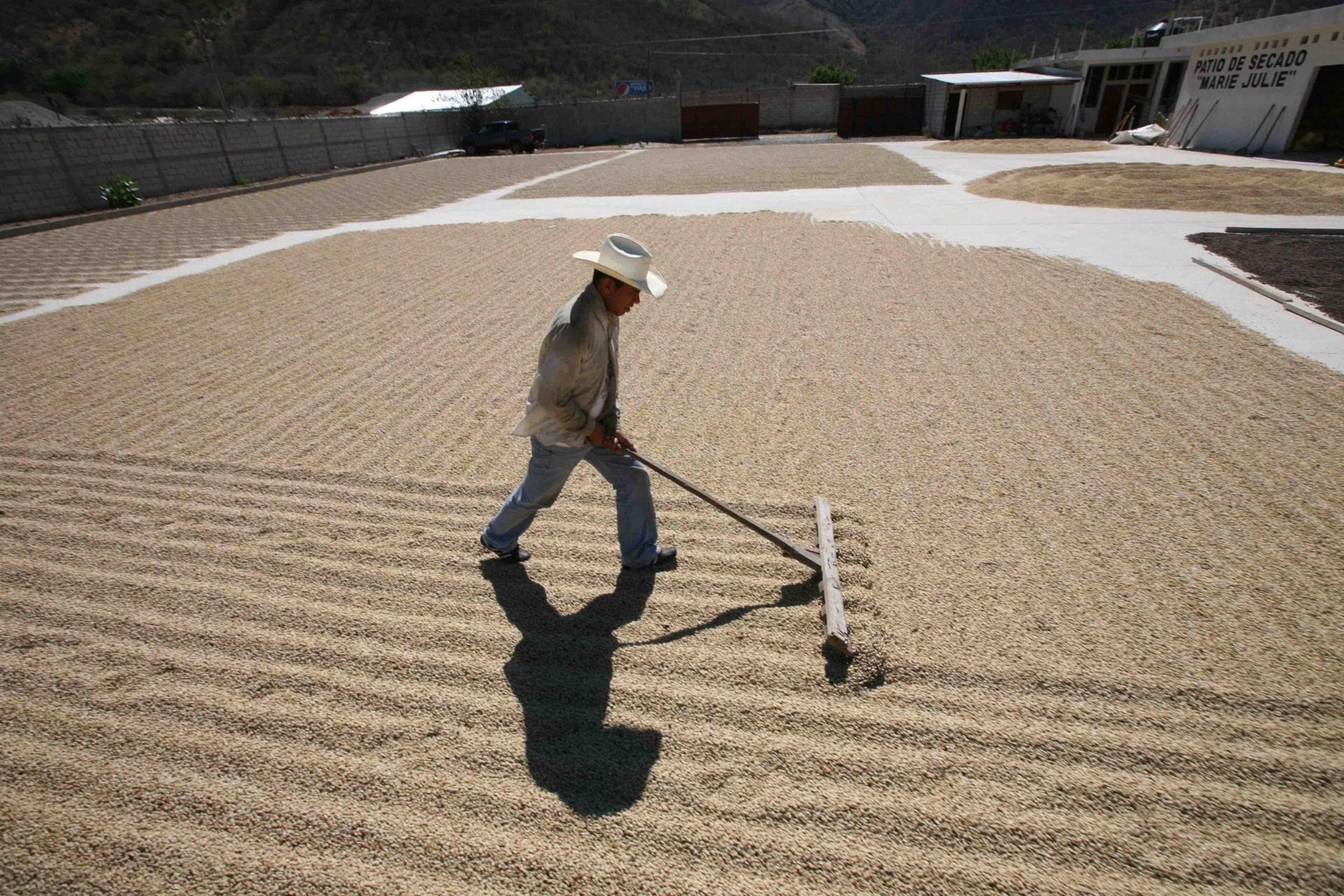 How We’re Continuing to Support Rural Businesses and Smallholder Farmers During the Coronavirus Outbreak