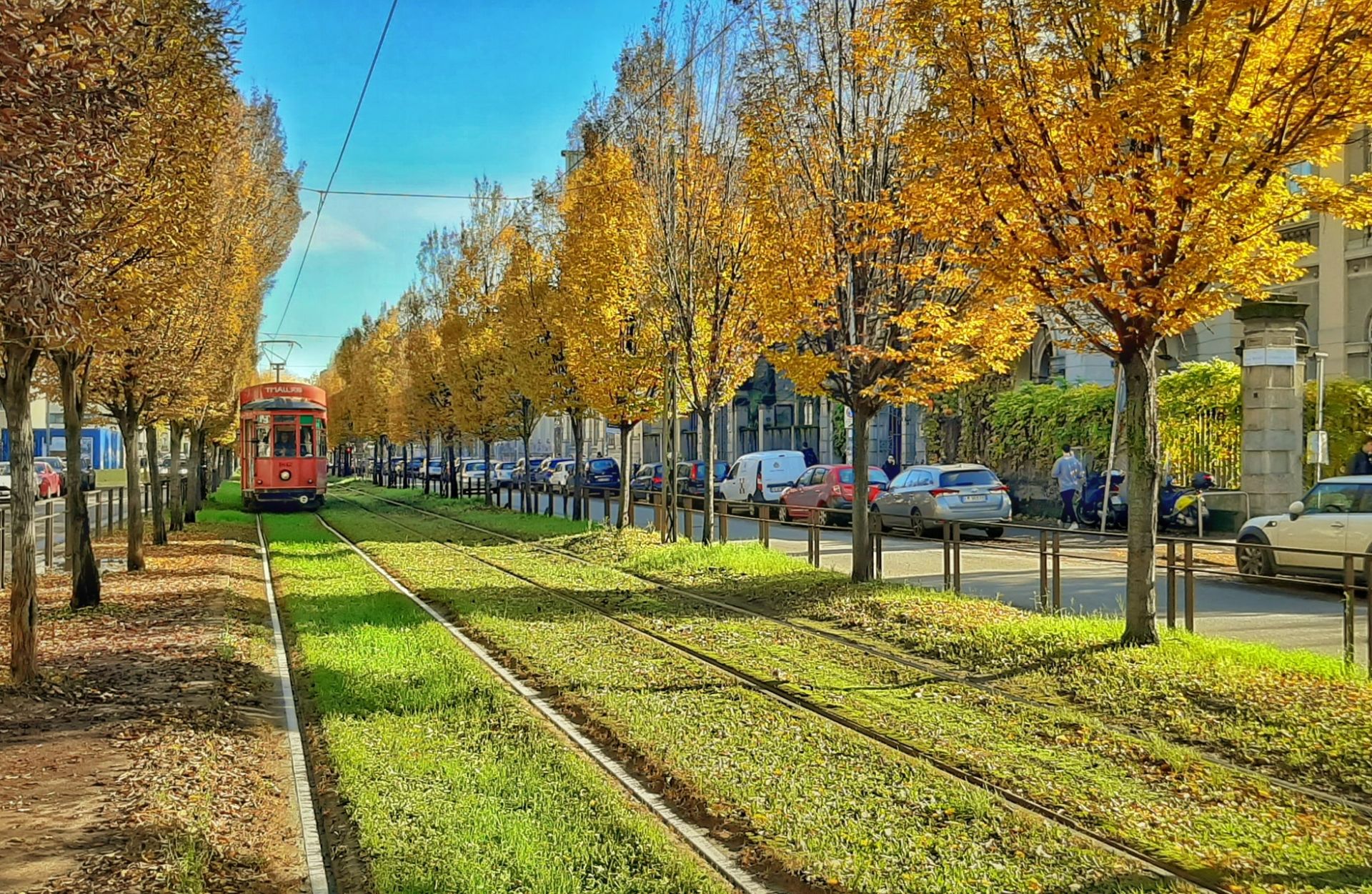 milan trams