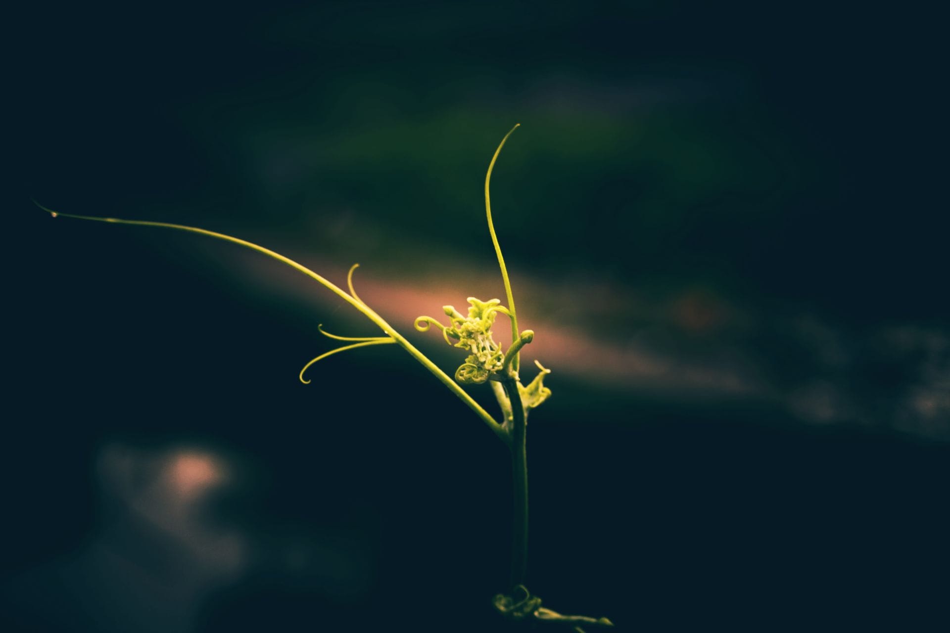 A Silent Spring Has Fallen Upon Us, It’s Time to Listen so That We Can Emerge With Dignity  