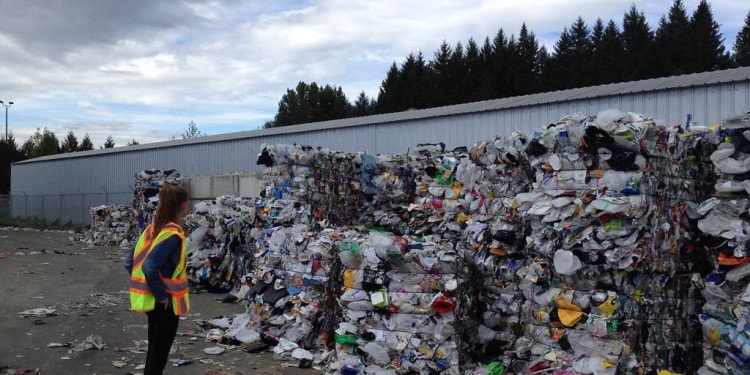 5 Actions That Anyone Can Take to Clean the Environment