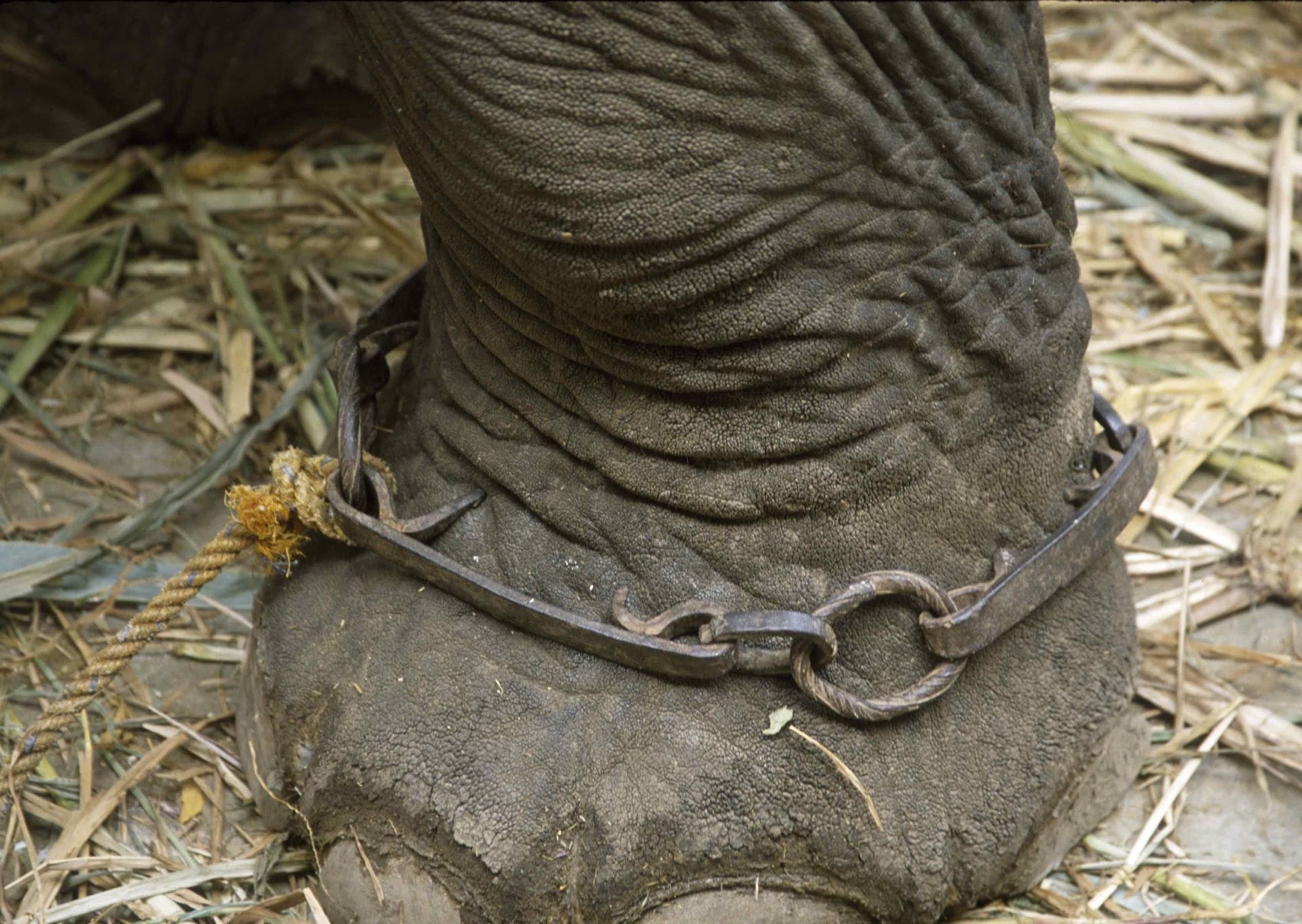 Accounting for a Life