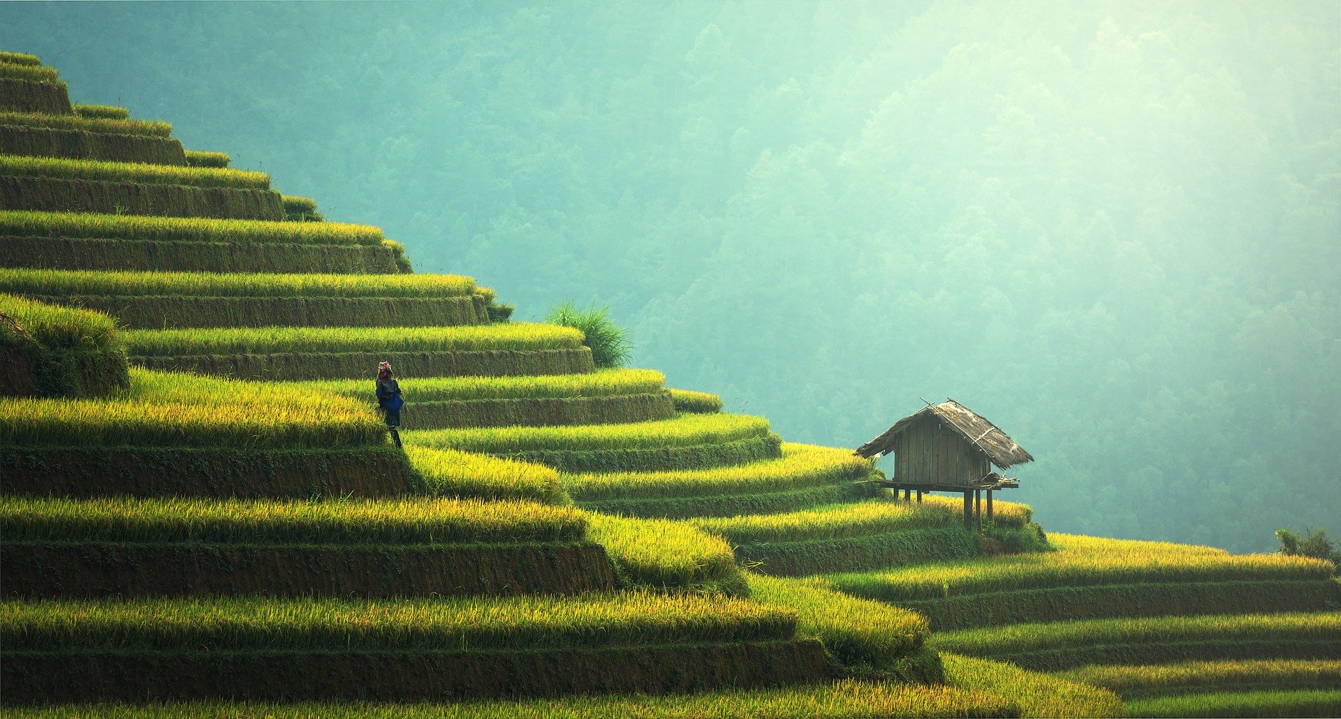 Climate change in Agriculture