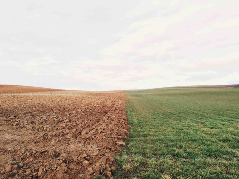 Bare Soil and Tillage