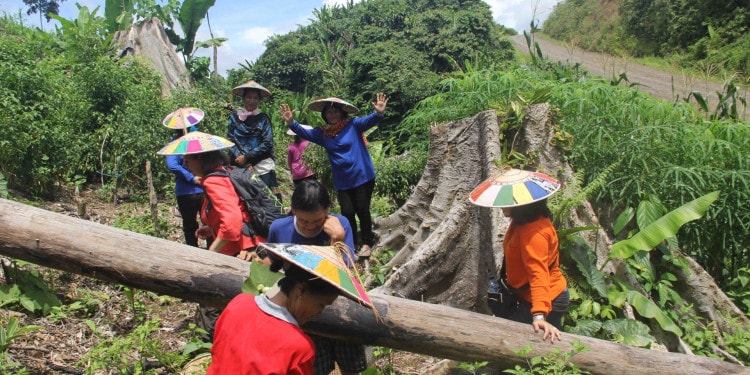 How Indigenous Peoples Practices Can Guide Our Recovery From COVID-19