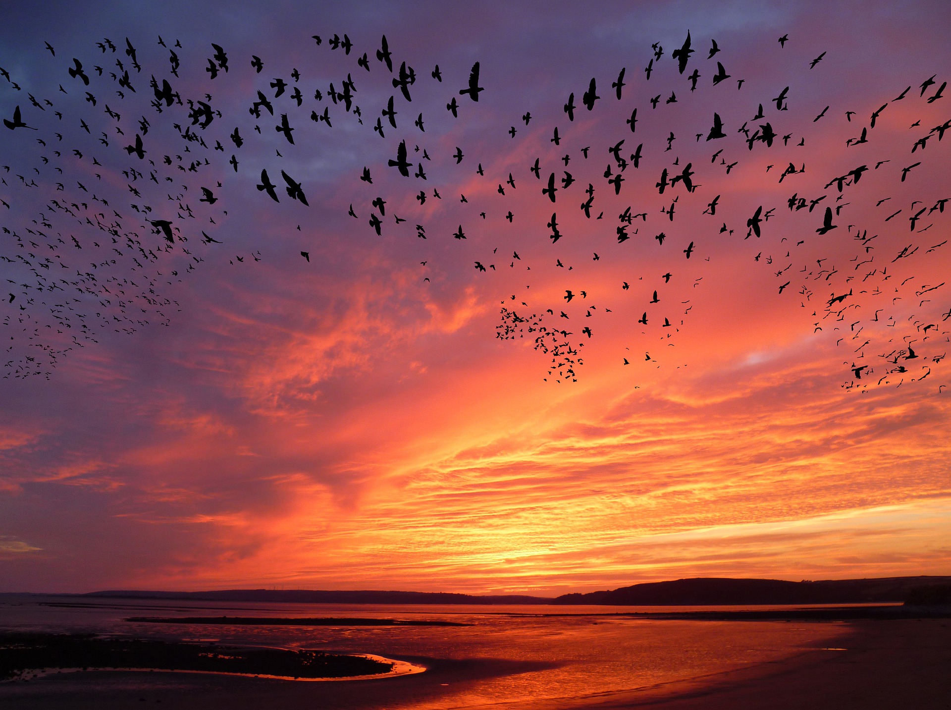 Environmental Migration