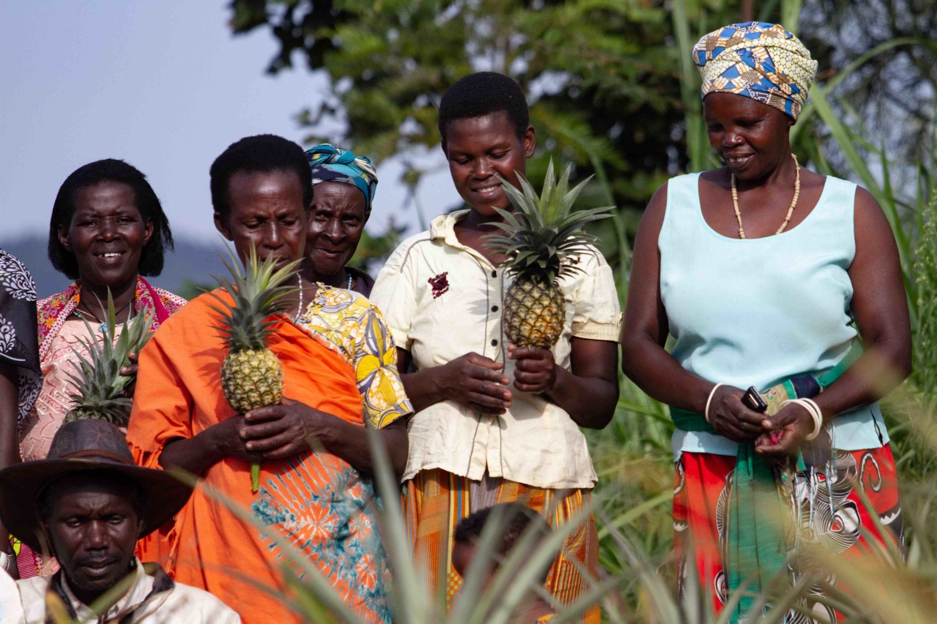 COVID-19 and Conflict: Is Peace the Cure?