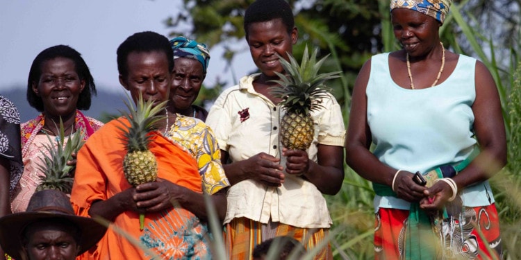 COVID-19 and Conflict: Is Peace the Cure?