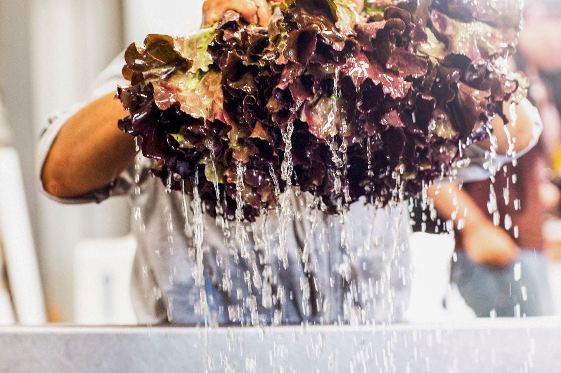 The BCorp Tackling Fast Food with Sustainability