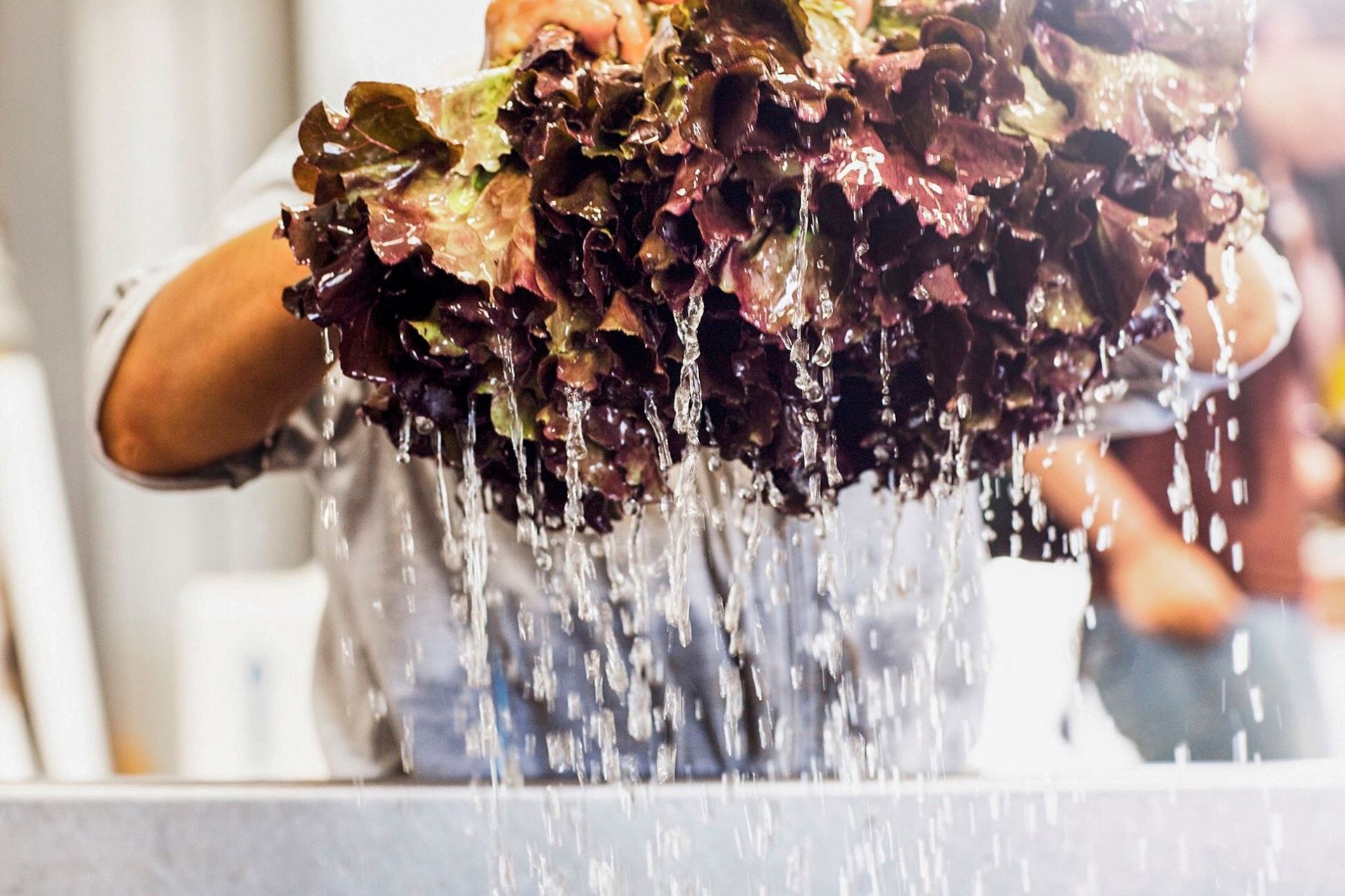 The BCorp Tackling Fast Food with Sustainability