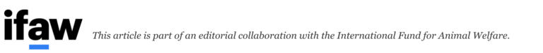 IFAW Banner