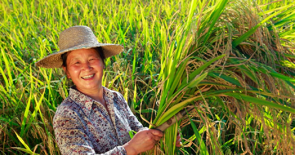 Partnership-Driven Business Models for Sustainably Driven COVID-19 Recovery in Decade of Action and Delivery