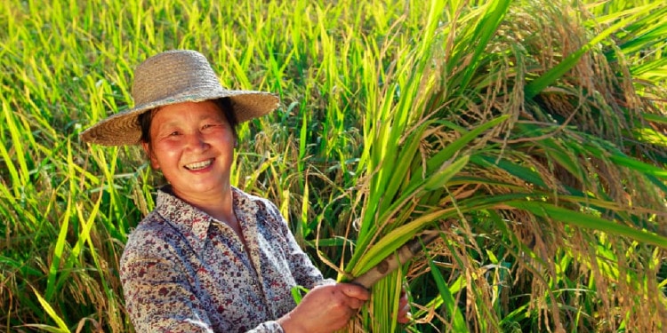 Partnership-Driven Business Models for Sustainably Driven COVID-19 Recovery in Decade of Action and Delivery