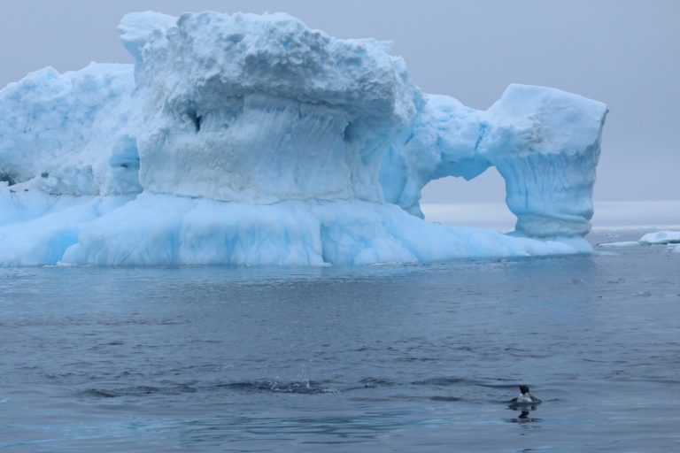 Ice loss from the Antarctic Ice Sheet has rapidly accelerated over the last four decades.