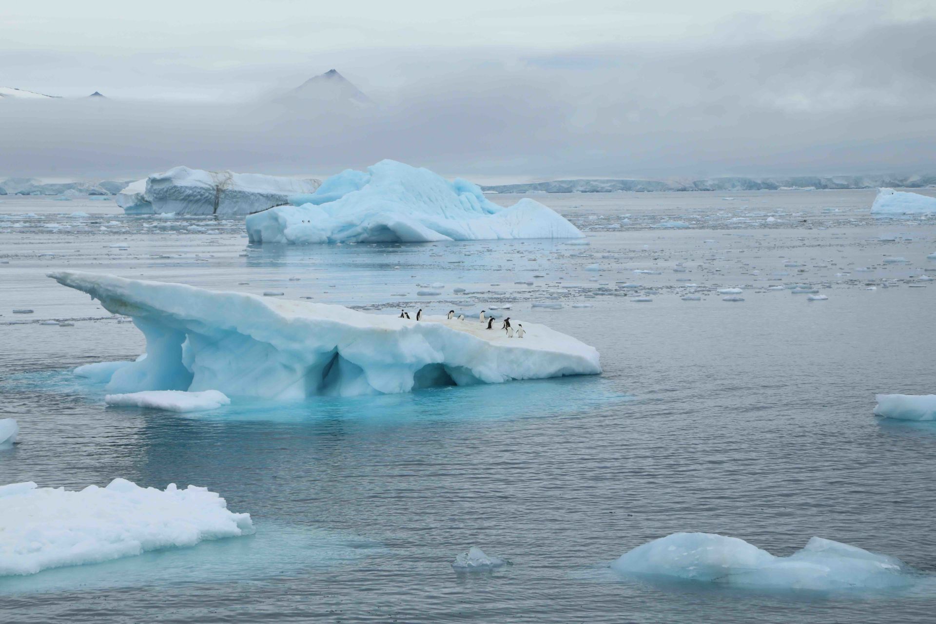 5 Visible Signs of Climate Change in Antarctica