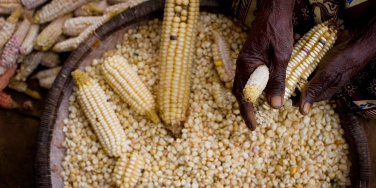 COVID-19 – Pre-Existing Gender Discrimination Provides Fertile Ground for Increased Inequality