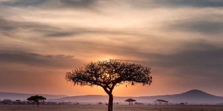 In the Photo: Landscape of South Africa, Photo Credit: Hu Chen/Unsplash