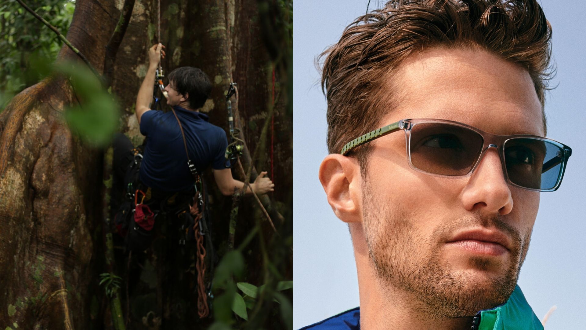 Rainforest Connection & Earthkeepers