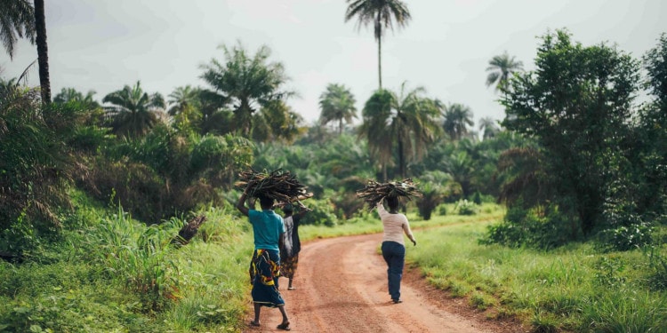 Impact of COVID-19 on Ghana’s Agriculture – In the Eyes of a Youth Farmer