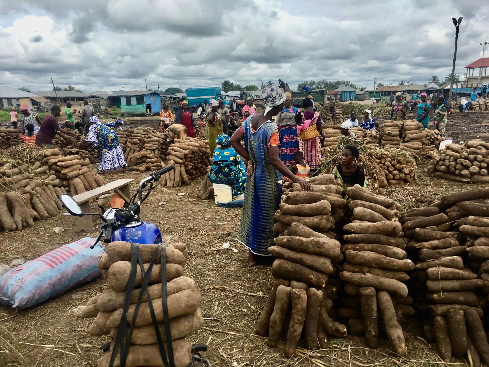 Ghana's Agriculture
