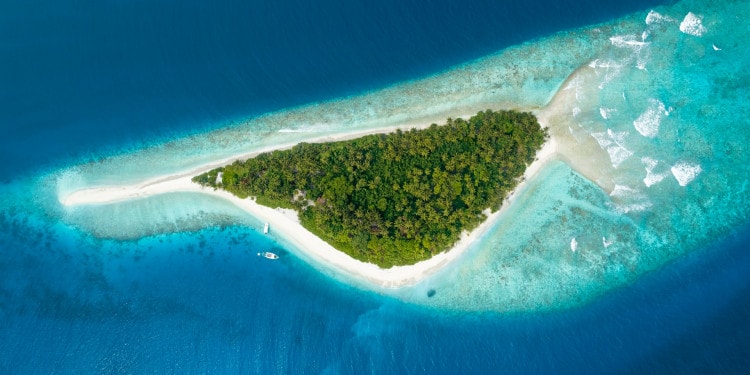 Impakter Joins Climate Coverage Initiative