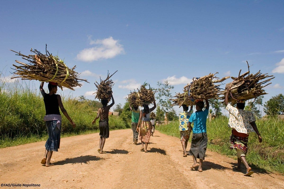 Not All Evil Comes to Harm: Could the Pandemic Crisis Be an Opportunity for a Sustainable Reboot?