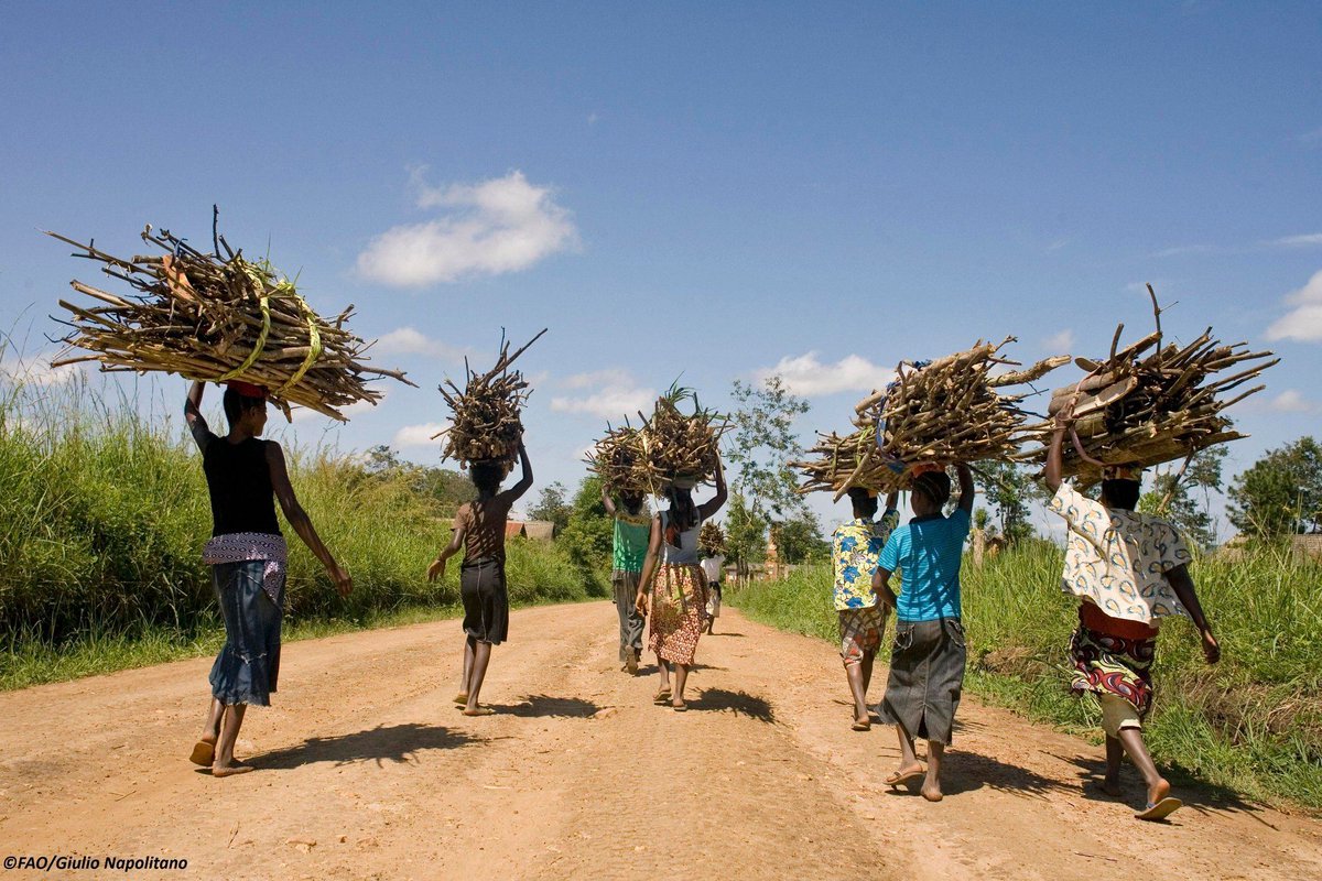 Not All Evil Comes to Harm: Could the Pandemic Crisis Be an Opportunity for a Sustainable Reboot?