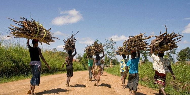 Not All Evil Comes to Harm: Could the Pandemic Crisis Be an Opportunity for a Sustainable Reboot?