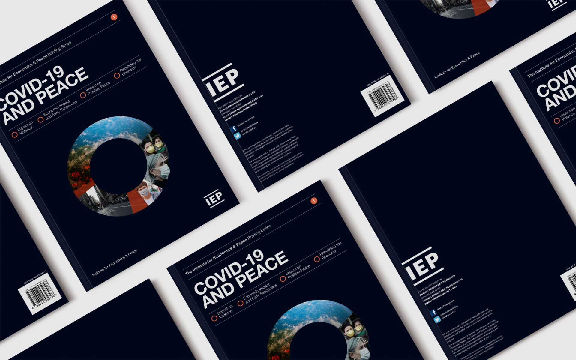 The COVID-19 Pandemic and Socio-Economic Development