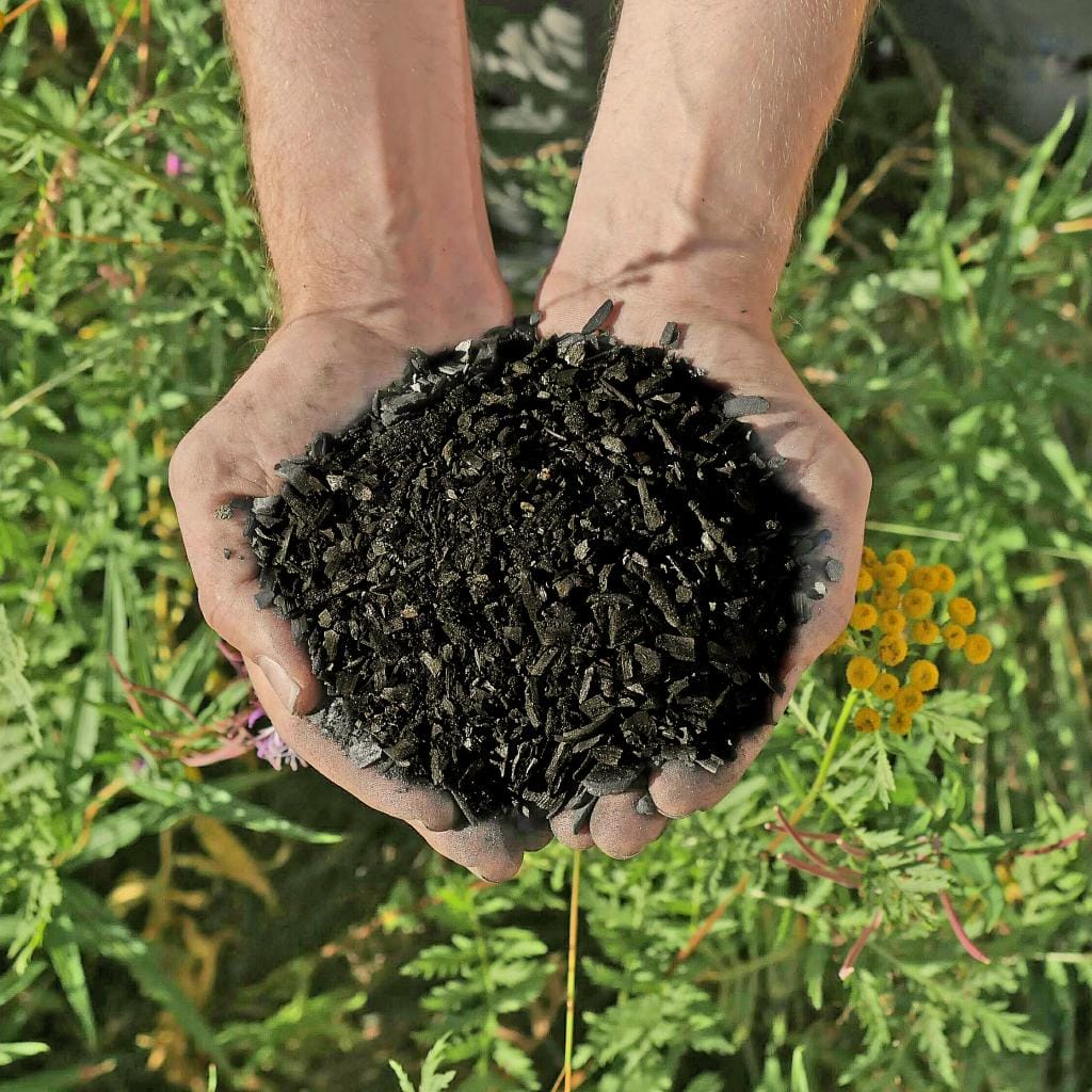 To Get To Net Zero By 2050, We Must Scale Up Carbon Removal