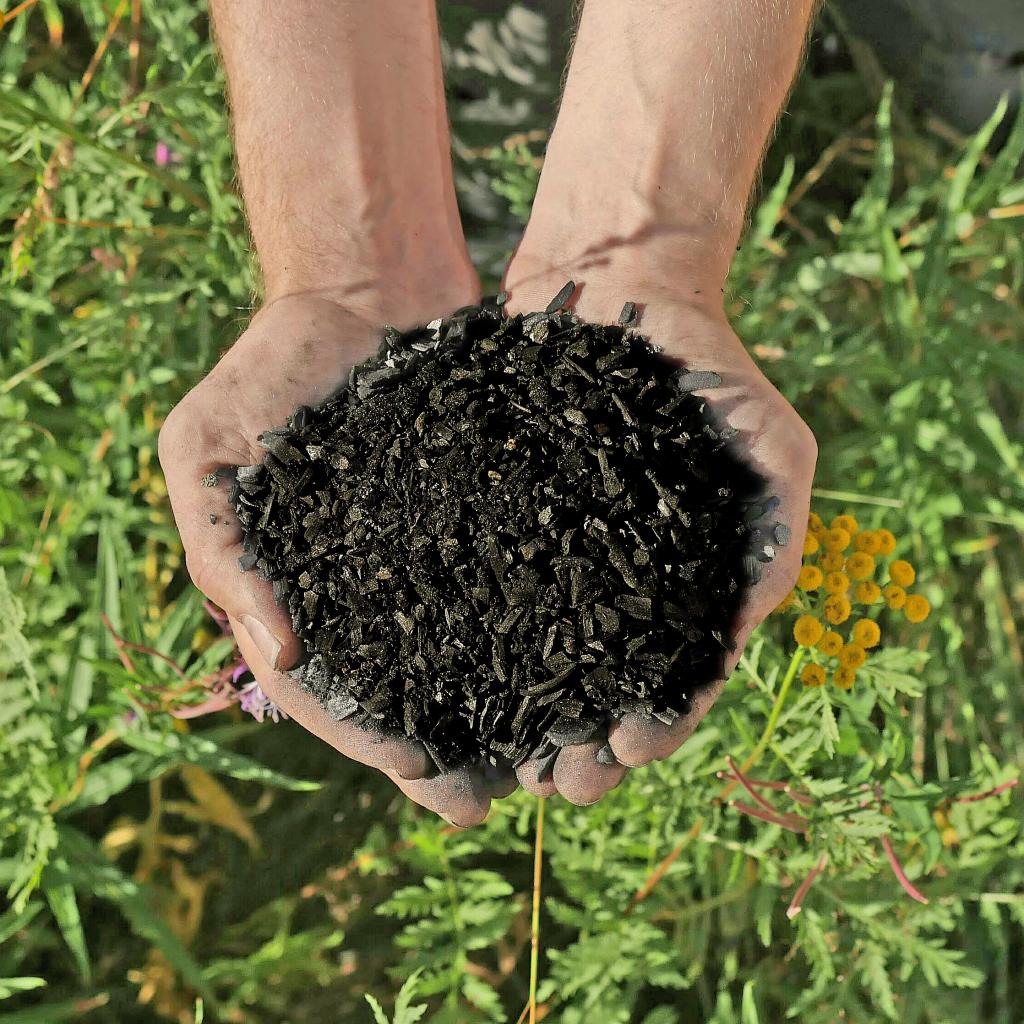 To Get To Net Zero By 2050, We Must Scale Up Carbon Removal