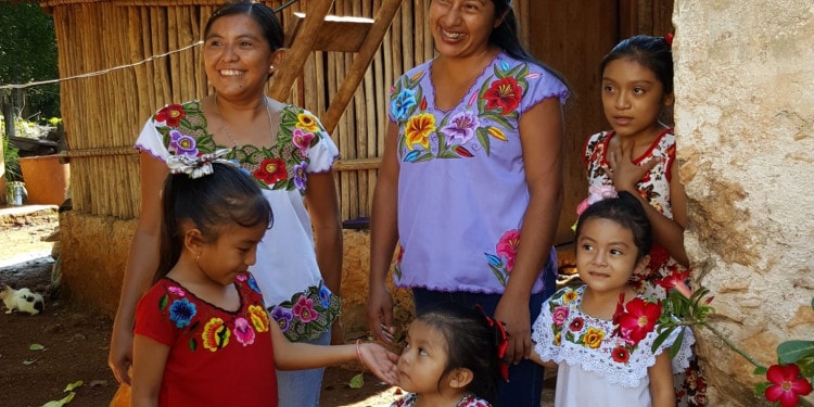 A More Sustainable Future for Bees —and their Keepers— in Southern Mexico