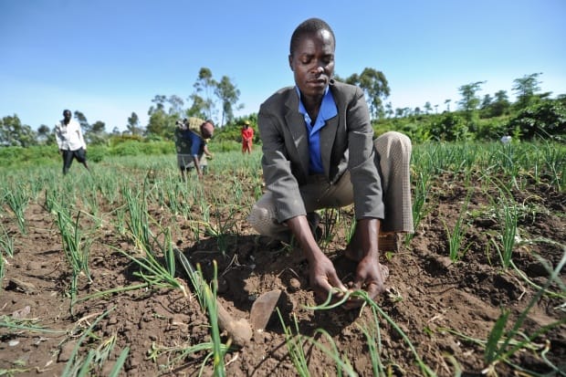 How can young African agripreneurs survive COVID-19 and the climate crisis?