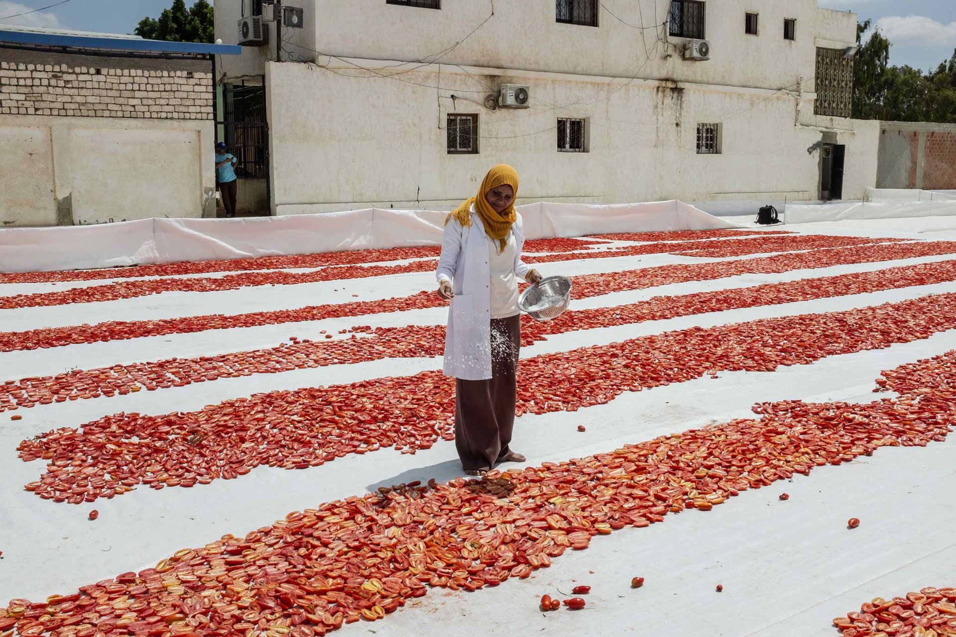 The Importance of Investment and Farmer Innovation