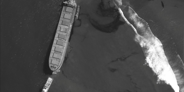 Suffering an Ecological and Humanitarian Crisis, Mauritius Needs International Support