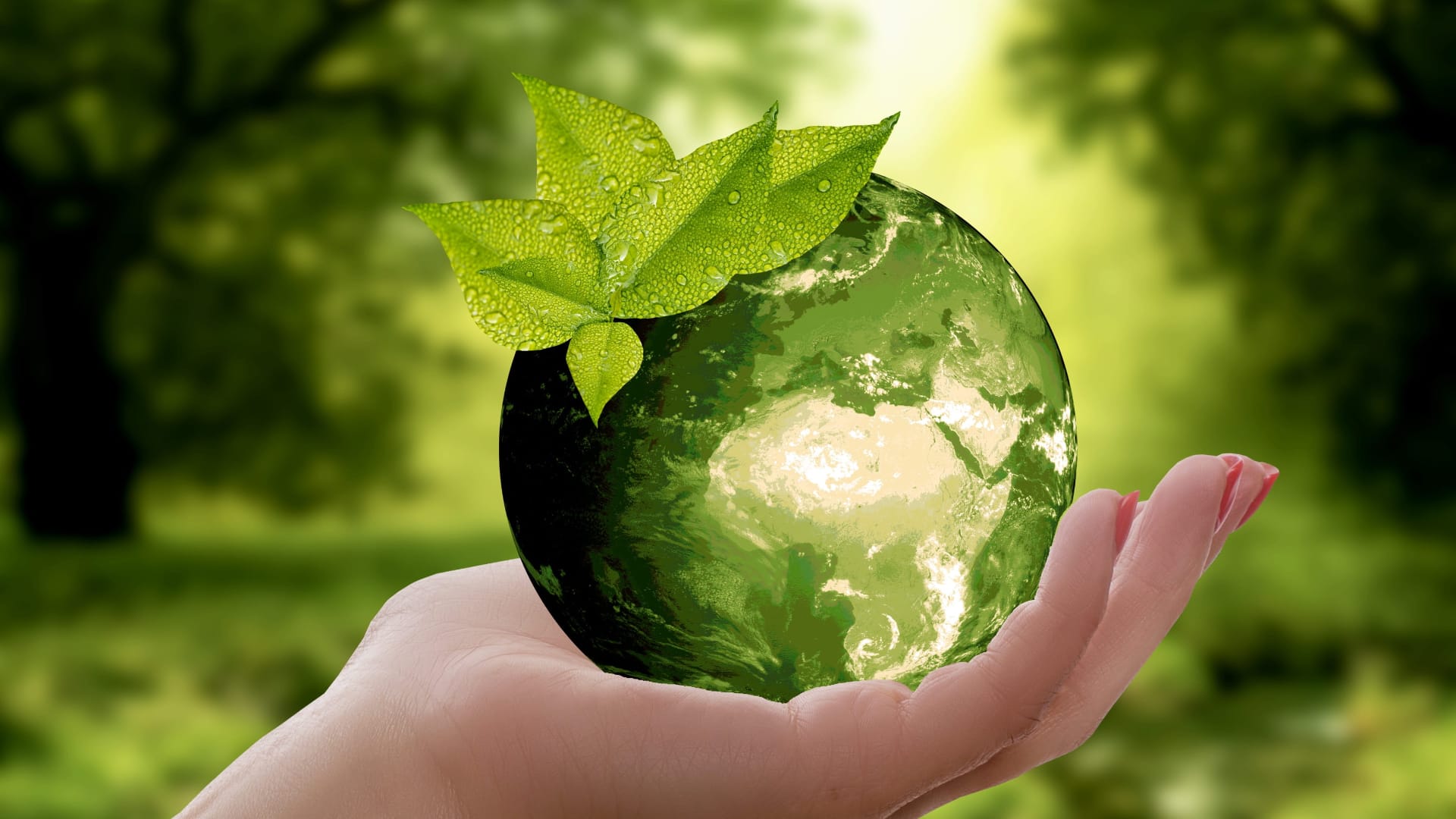 Sustainable All Year Round: An Interview with Dr. Erlijn van Genuchten