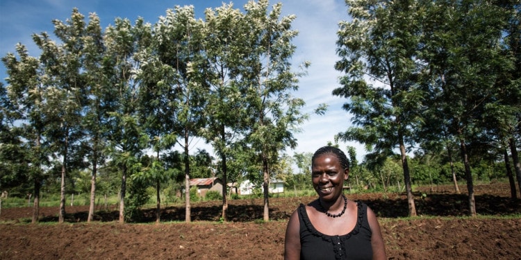 Building Resilient Climate Smart Agricultural Systems For Smallholder Farmers