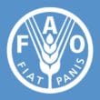 The Food and Agriculture Organization of the United Nations (FAO)
