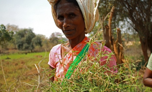 Crisis, such as COVID and climate change, offer an opportunity to not only support the immediate needs of women, but to rethink systems. Photo: S. Saini (CCAFS)