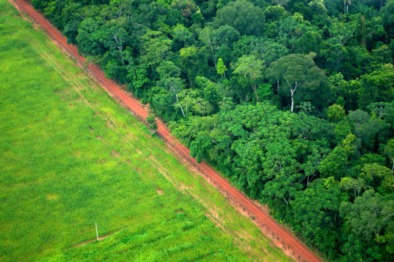 Rainforest deforestation for agricultural land in Rio Branco, Acre, Brazil
