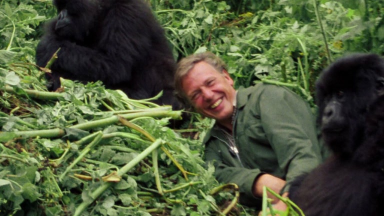 David Attenborough A Life on Our Planet
