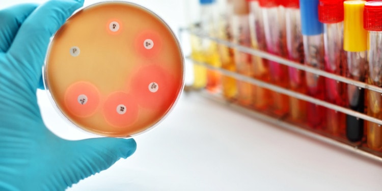 Why Antimicrobials Matter in the Fight Against Covid