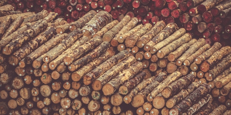 10 Major Companies Responsible for Deforestation
