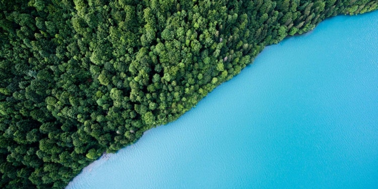 How Forgiving Debt Could Help Save the Earth