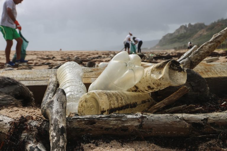 Ocean plastic pollution sustainable development