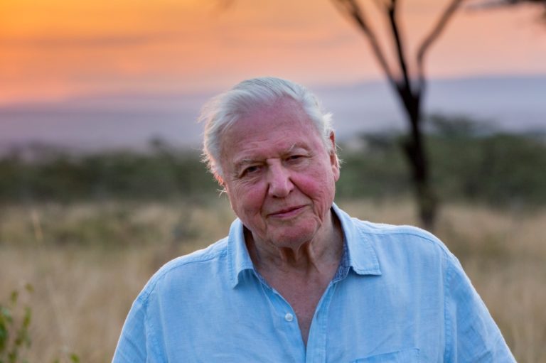 David Attenborough