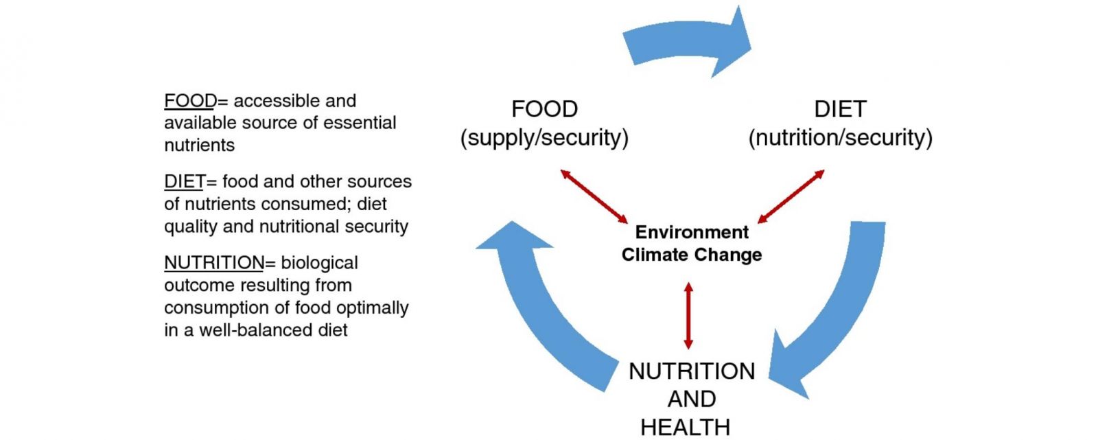 A figure demonstrating the intersection between nutrition,food, diet, and environmental change. Source: Raiten & Aimone, 2017