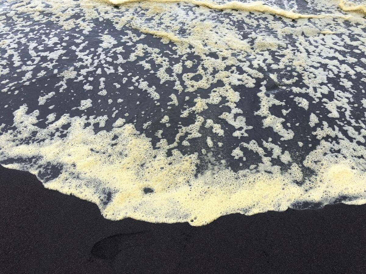 The Man And The Sea: The Recent Case Of Marine Pollution In Kamchatka