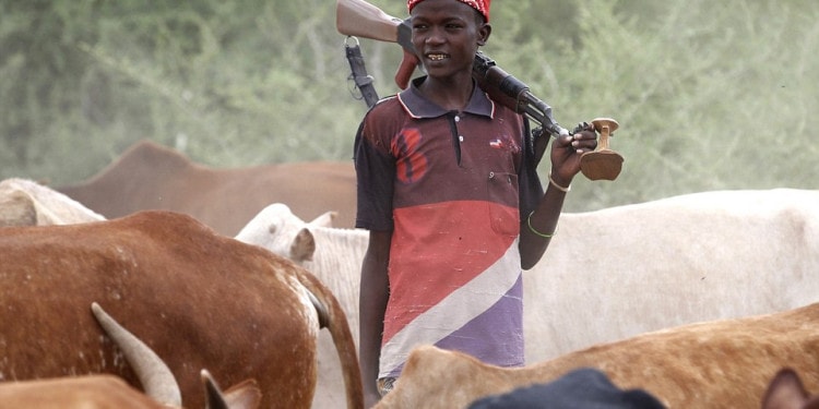 How the Shared Challenge of Climate Change Facilitates Peacebuilding