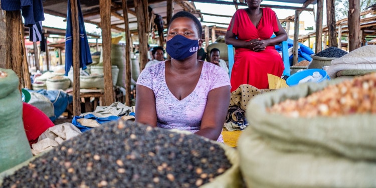 How Blended Finance Can Help Farmers and Agribusinesses in the COVID-19 Era